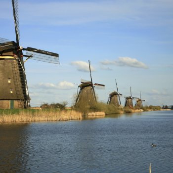 Holandsko – sýrová farma a Amsterdam