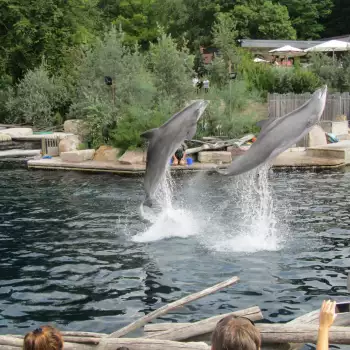 Europapark a Delfíní laguna