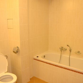 Hotel Lesní chata