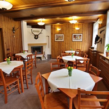 Hotel Lesní chata