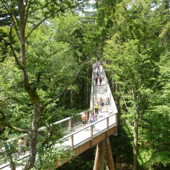 Národní park Bavorský les a Bayern Park
