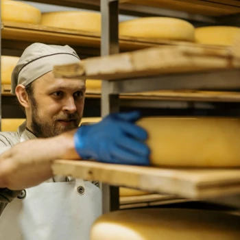 Holandsko – sýrová farma a Amsterdam