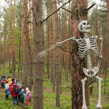 Tajemství ztraceného pokladu
