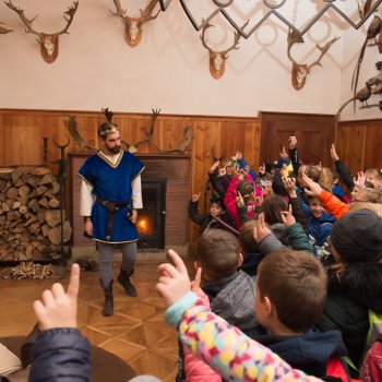 Kulturní programy