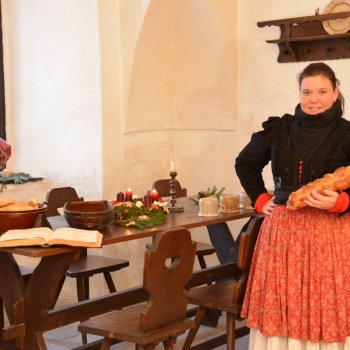 Kulturní programy