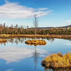 Šumava