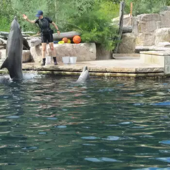 Europapark a Delfíní laguna