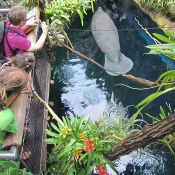 Europapark a Delfíní laguna