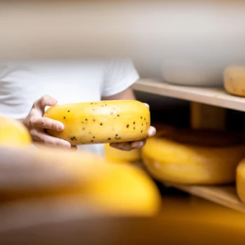 Adventní Amsterdam, sýrová farma a Festival světel