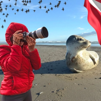 Dánsko – Tulení safari, rybářské městečko a západ slunce na ostrově