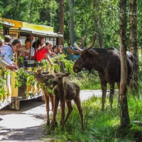 Královské Švédsko