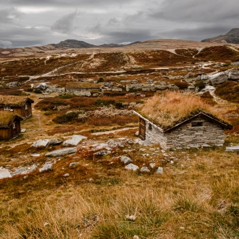 Do Norska za přírodou a papuchalky