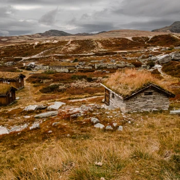Do Norska za přírodou a papuchalky