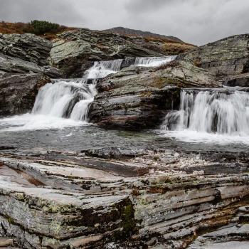 Do Norska za přírodou a papuchalky