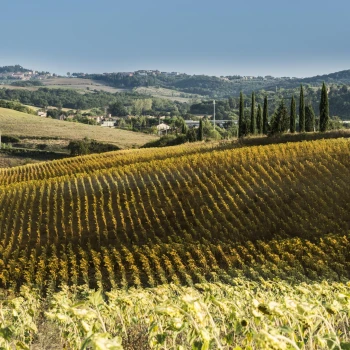 Florencie a vůně lásky i vína