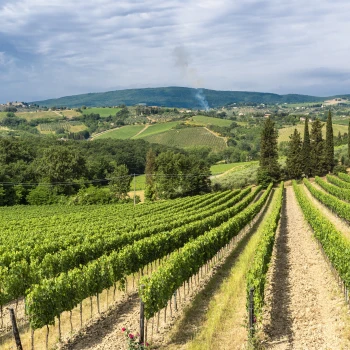 Florencie a vůně lásky i vína
