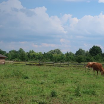 Farmářem v ekocentru