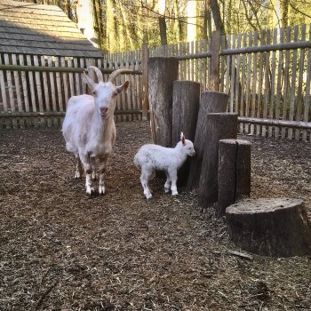 Farmářem v ekocentru