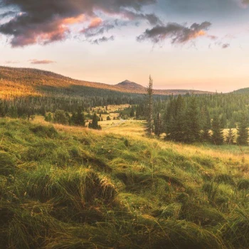 Šumava