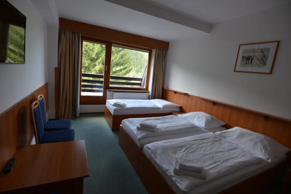 Hotel*** ParkHotel Harrachov