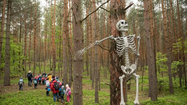 Tajemství ztraceného pokladu