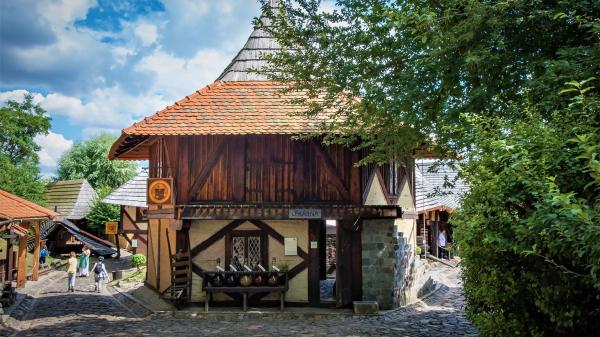 Středověká vesnice Botanicus