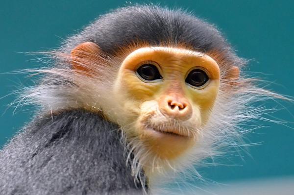 Kontaktní program se zvířaty v ZOO Chleby