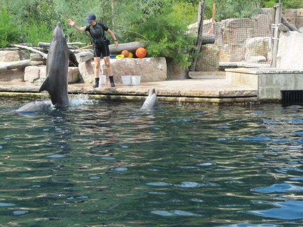 Delfíní laguna a ZOO Norimberk