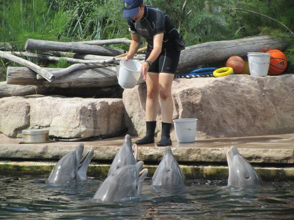 Delfíní laguna a ZOO Norimberk