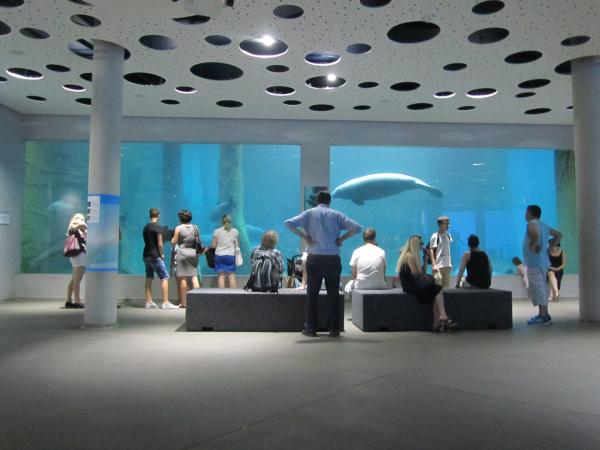 Delfíní laguna a ZOO Norimberk