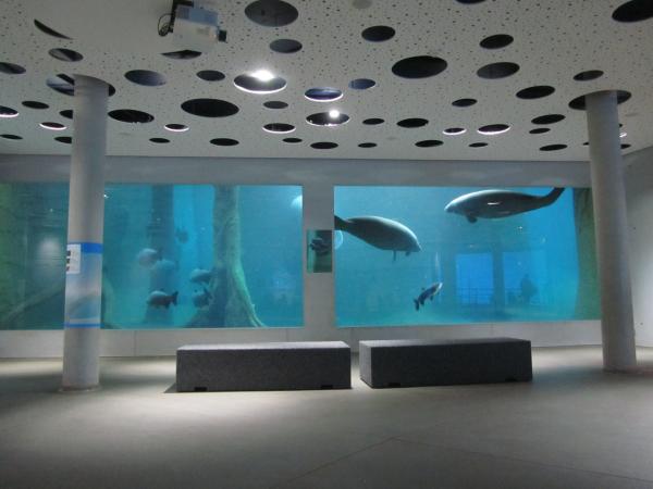Delfíní laguna a ZOO Norimberk