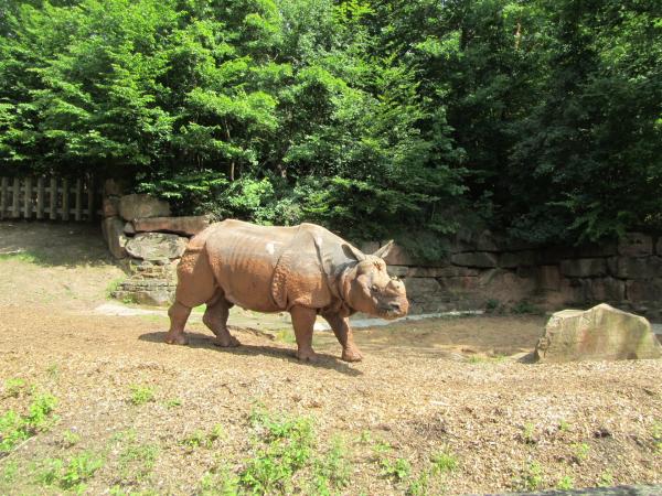 Delfíní laguna a ZOO Norimberk