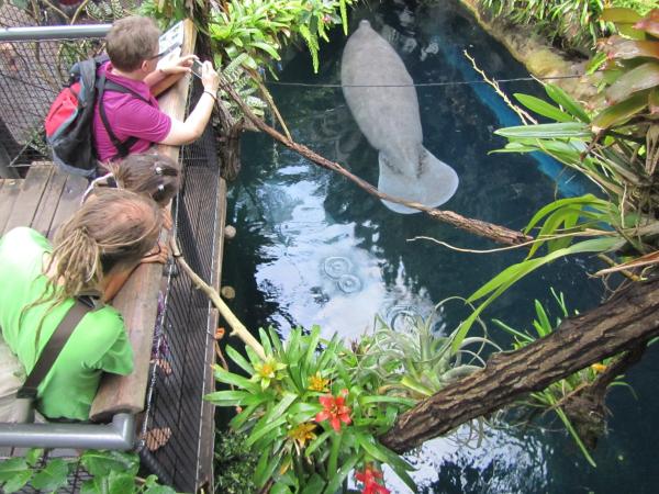 Delfíní laguna a ZOO Norimberk