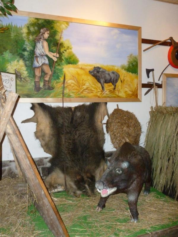 Čechova stodola a kreativní dílny
