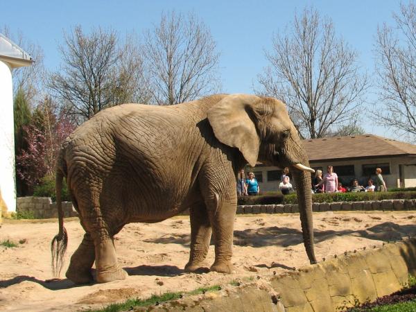 Safaripark Dvůr Králové