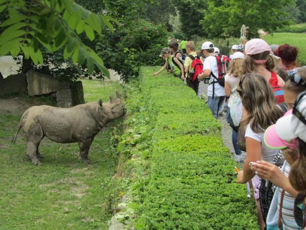 Safaripark Dvůr Králové