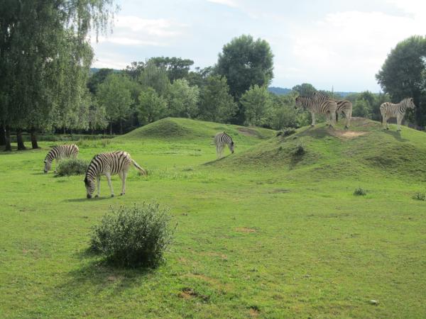 Safaripark Dvůr Králové