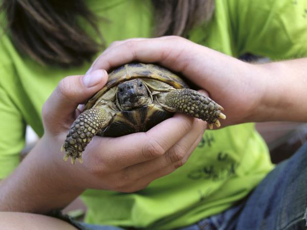 Kontaktní program se zvířaty v ZOO Chleby