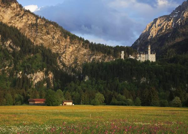 Bodamské jezero a zámek Neuschwanstein