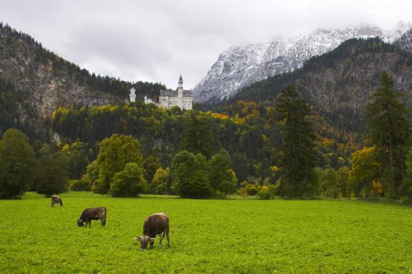 Bodamské jezero a zámek Neuschwanstein