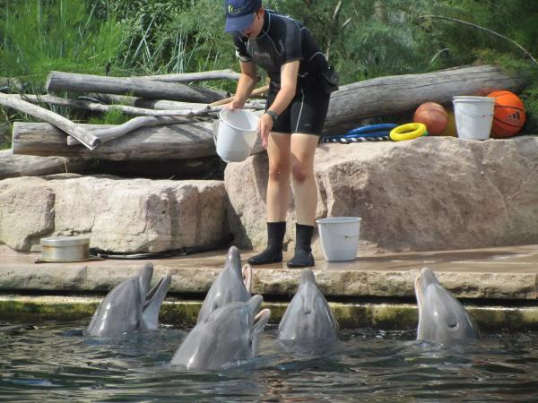 Europapark a Delfíní laguna
