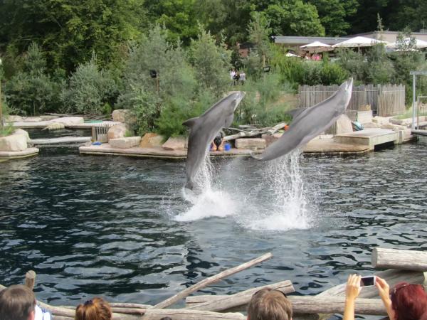 Europapark a Delfíní laguna