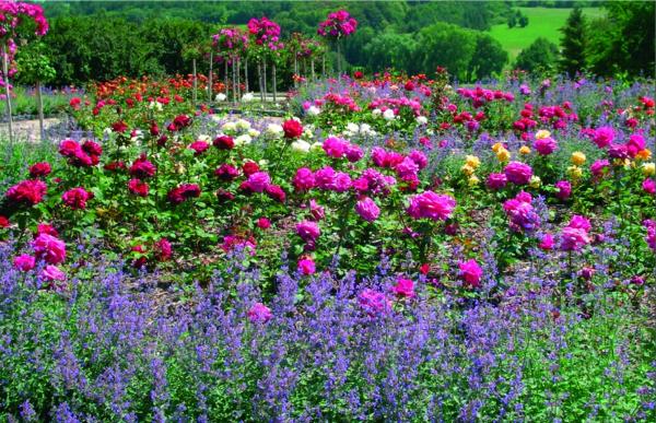 Lidice