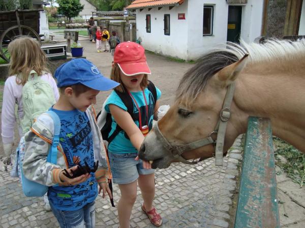 Labyrintárium a zámek Loučeň