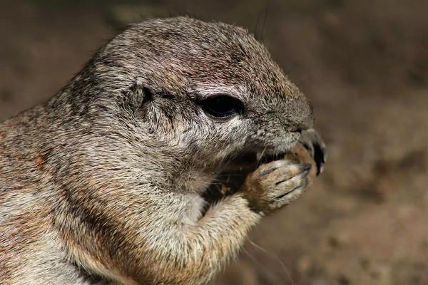 ZOO Jihlava a strašidelné podzemí