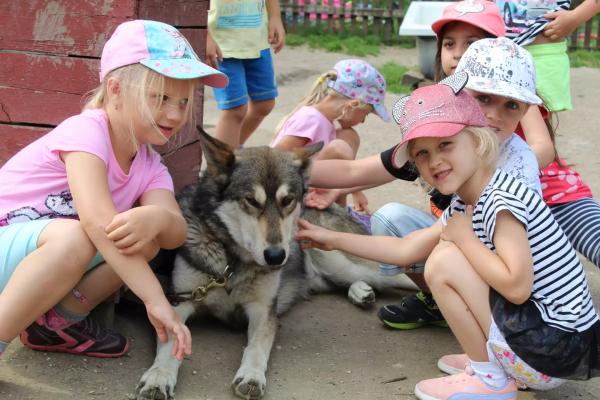 Husky farma