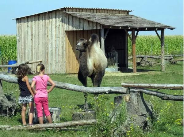 Kontaktní program se zvířaty v ZOO Chleby