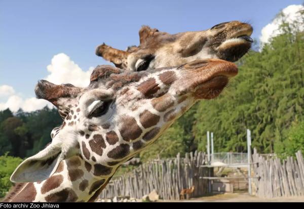 ZOO Jihlava a strašidelné podzemí