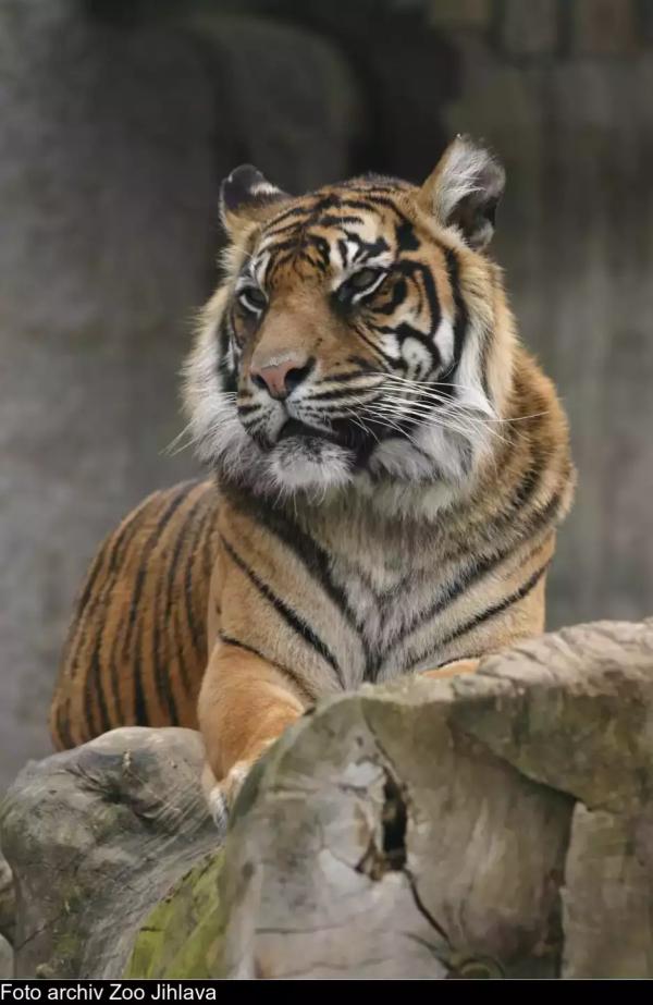 ZOO Jihlava a strašidelné podzemí