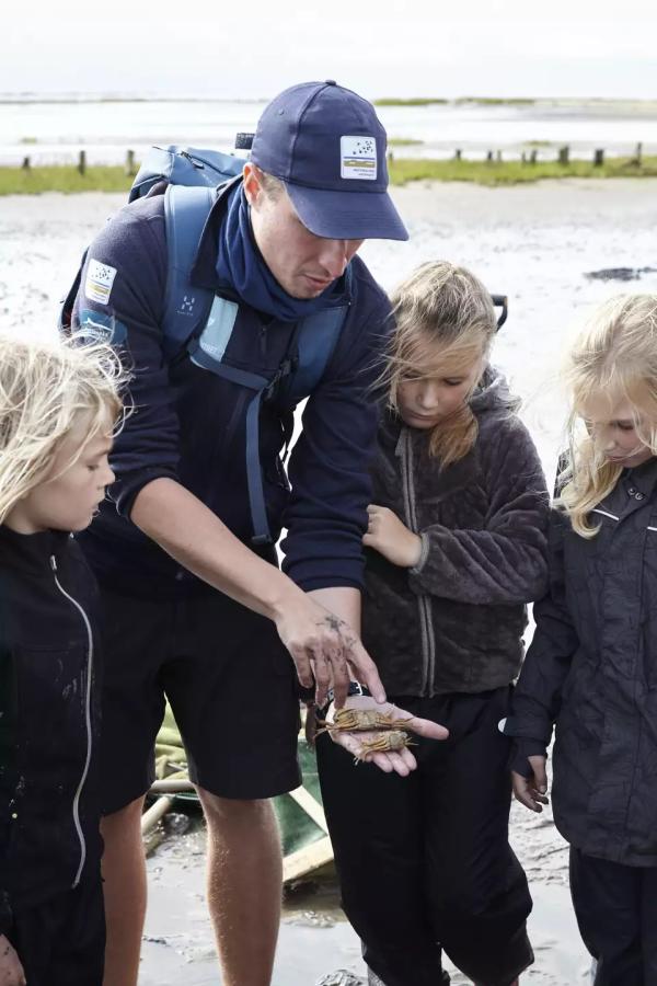Dánsko – Tulení safari, rybářské městečko a západ slunce na ostrově